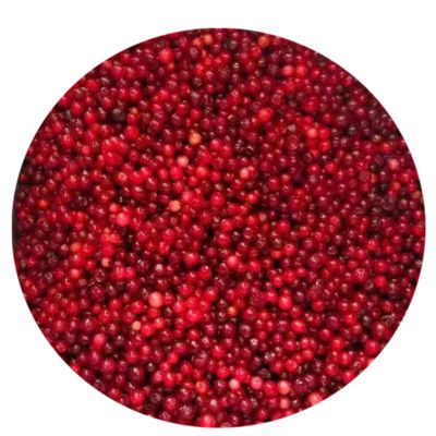 BRC,KOSHER,HALAL, IFS, BSCI IQF Frozen Lingonberry Cranberry 100% Natural Fruit Jam Bulk Packaging with 2 Years Shelf Life Pail