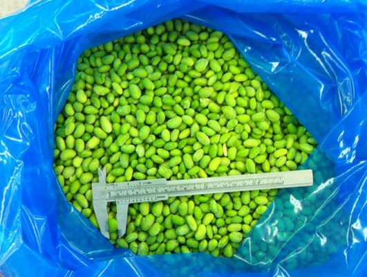 Bulk Organic High-Protein Frozen Vegetable Ready to Cook IQF Soya Beans