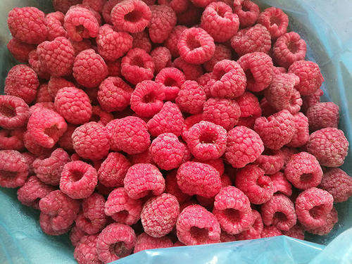High Standard IQF Frozen Whole Raspberry
