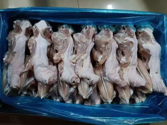 Kualitas premium ayam beku bagian atas punggung pada harga grosir