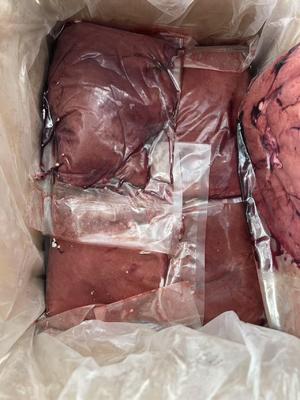 Harga Murah Kualitas Tinggi Lemak Rendah Bersih HALAL Disetujui Dingin Hati Anak Domba