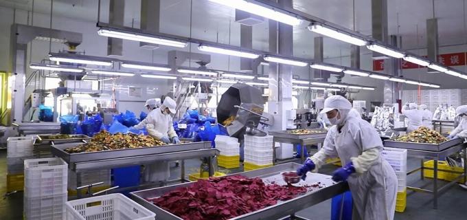 Raspberries beku besar kualitas tinggi Raspberries beku besar kemasan Buah 9