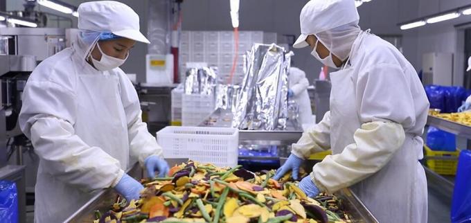 Raspberries beku besar kualitas tinggi Raspberries beku besar kemasan Buah 10