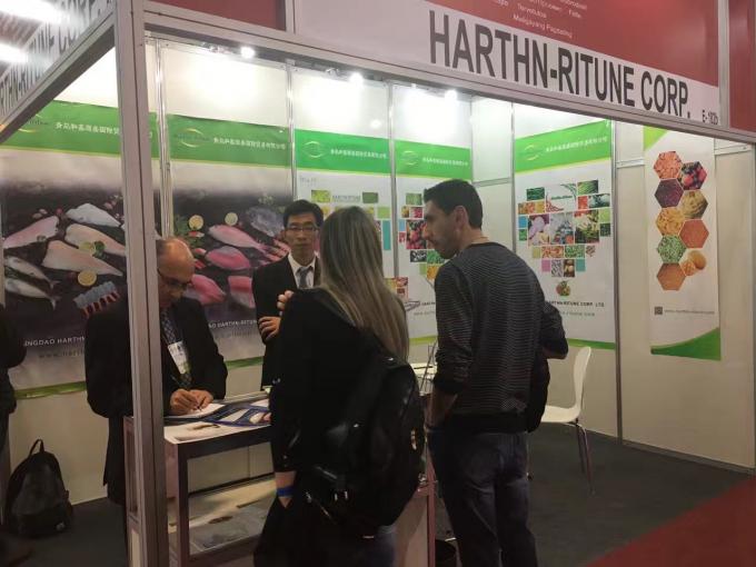 Raspberries beku besar kualitas tinggi Raspberries beku besar kemasan Buah 19