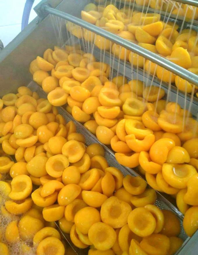IQF Biologi Kuning Persik Setengah Buah Buah Buah Buah Buah Buah Buah Buah Buah Buah Buah Buah Buah Buah Buah Buah Buah Buah Buah Buah Buah Buah Buah Buah Buah Buah Buah Buah Buah Buah Buah Buah Buah Buah Buah Buah Buah Buah Buah Buah Buah Buah Buah Buah Buah Buah Buah Buah Buah Buah Buah Buah Buah Buah Buah Buah Buah Buah Buah Buah Buah Buah Buah Buah Buah Buah Buah Buah Buah Buah Buah Buah Buah Buah Buah Buah Buah Buah Buah Buah Buah Buah Buah Buah Buah Buah Buah Buah Buah Buah Buah Buah Buah  6