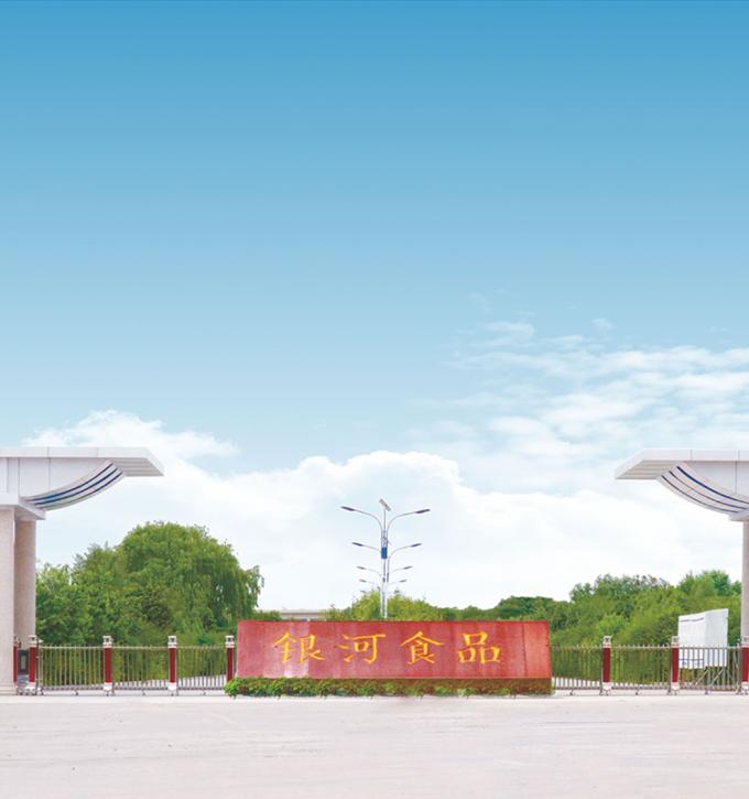 Sinocharm 4-Star Product BRC-A Peach Kuning segar 10x10mm Buah-buahan Buah-buahan beku 9