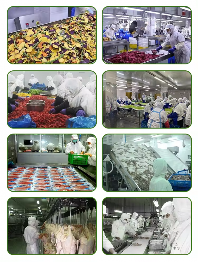 Grosir Bulk Dikemas Kelengkeng Beku Digulung Iqf Kelengkeng Potongan Sayuran Beku 5