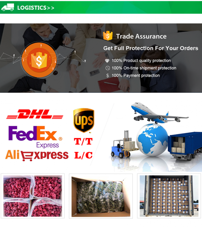 Grosir IQF Buah Ananas Buah beku dengan harga yang baik 5