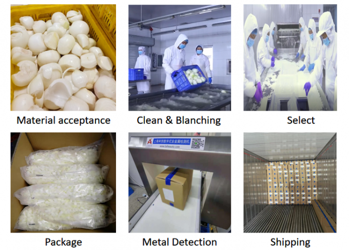 Penjualan Panas Buah Bawang Beku Untuk Grosir 1