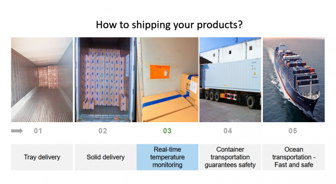 Pisang Beku IQF dari China Produk Panas Iris untuk Ekspor Dengan Kualitas Tinggi 2