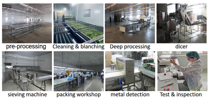 Pasokan Cina Kualitas Terbaik Harga Bagus Sayuran Beku Iqf Seluruh Okra Gumbo 8