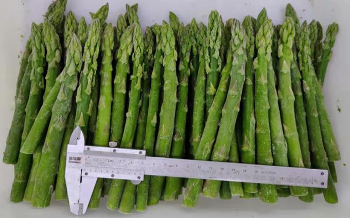 Asparagus Tombak Asparagus Asparagus Sayuran beku IQF Asparagus hijau beku Biji A Grade Bulk Packaging Asparagus Harga 2