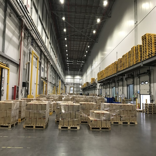 Harga Murah Kualitas Tinggi Lemak Rendah Bersih HALAL Disetujui Dingin Hati Anak Domba 1