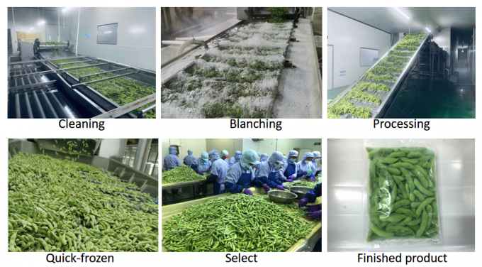 China Supplier Soya Beans IQF Edamame beku dalam kulit 4