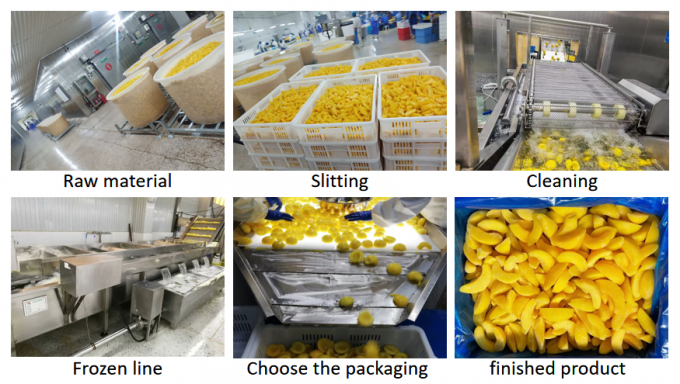 Kualitas Terbaik 10KG Frozen Bulk Belahan Buah Persik Kuning - Ideal untuk Pengalengan & Ekspor 3