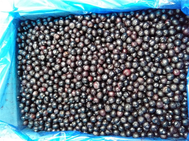 IQF Buah Blueberry Beku Premium Panggang dan Smoothie Toppings Intensely 2