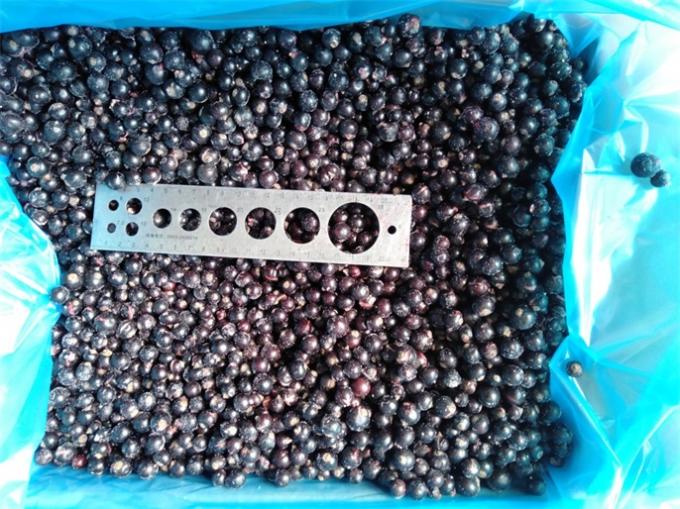 2025 Perusahaan Baru Kualitas Terbaik Harga Bagus IQF Beku Black Currant Buah Beku 2