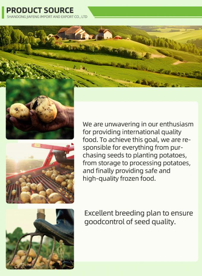 Automatic Frozen French Fries Frozen French Fries Organic IQF French Potato Fries Bulk Packaging 10 Kg Bahan segar 1