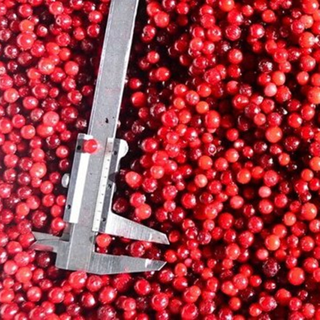 OEM/ODM Hot Selling Ekonomi Grosir IQF Buah Lingonberry Buah beku IQF 0