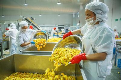 IQF Biologi Kuning Persik Setengah Buah Buah Buah Buah Buah Buah Buah Buah Buah Buah Buah Buah Buah Buah Buah Buah Buah Buah Buah Buah Buah Buah Buah Buah Buah Buah Buah Buah Buah Buah Buah Buah Buah Buah Buah Buah Buah Buah Buah Buah Buah Buah Buah Buah Buah Buah Buah Buah Buah Buah Buah Buah Buah Buah Buah Buah Buah Buah Buah Buah Buah Buah Buah Buah Buah Buah Buah Buah Buah Buah Buah Buah Buah Buah Buah Buah Buah Buah Buah Buah Buah Buah Buah Buah Buah Buah Buah Buah Buah Buah Buah Buah Buah  8