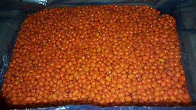 Grosir Organik Sea Buckthorn Beku Buah Sea Buckthorn 2