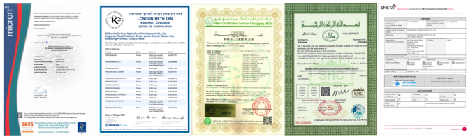 Grosir Organik Sea Buckthorn Beku Buah Sea Buckthorn 5