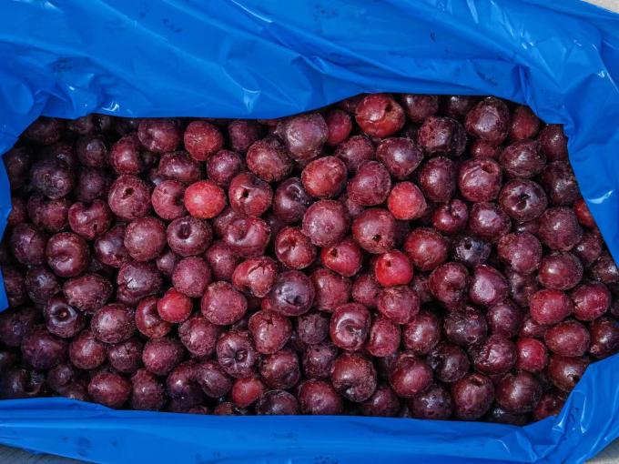 Sinocharm HACCP OEM Merek Pabrik Harga Grosir Tanpa Biji IQF Beku Segar Buah Ceri Asam Dari China untuk Makanan Penutup 0