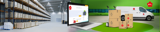 Penjualan Panas Aprikot Beku IQF Berkualitas Tinggi untuk Grosir dan Eceran Harga Pabrik Pengawetan Air Kemasan Curah 1