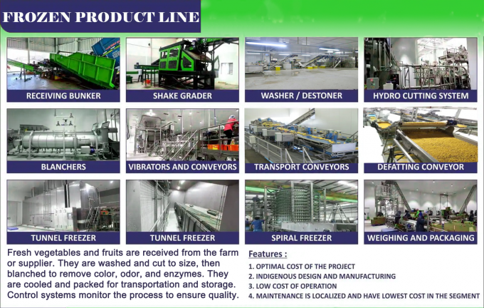 Penjualan Panas Aprikot Beku IQF Berkualitas Tinggi untuk Grosir dan Eceran Harga Pabrik Pengawetan Air Kemasan Curah 2