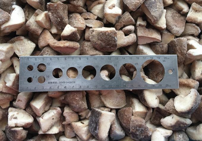Asal Cina Penjualan Panas Iqf Makanan Jamur Budidaya Jamur Shiitake untuk Shiitake Beku 2