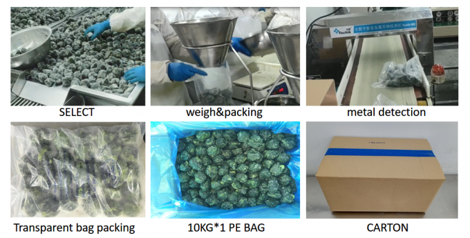 Hot-selling Frozen Spinach Ball Delicious IQF Sayuran beku asal Cina BRC/HACCP/ISO/HALAL/KOSHER Sertifikasi 4