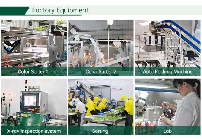 Pabrik Sayuran Beku Bersertifikat HALAL IQF Tomato Dices 10mm Tomato Beku Dices di Cina 2