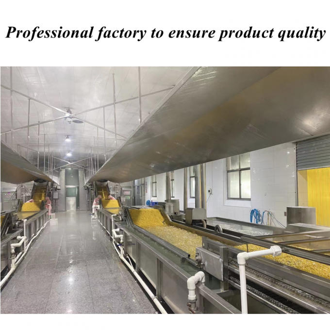 Harga Bersaing Kualitas Tinggi Jagung Manis Beku Biji Jagung Organik Non-GMO Kemasan Curah 1