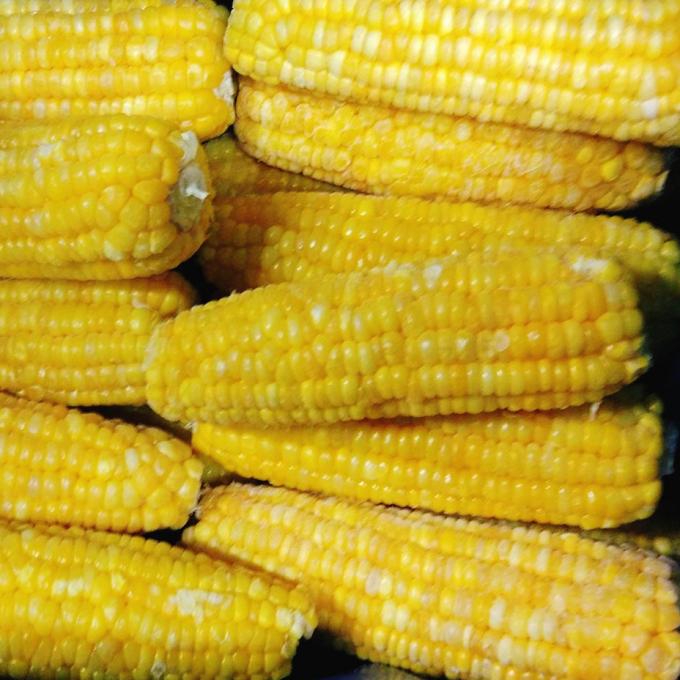Harga Bersaing Kualitas Tinggi Jagung Manis Beku Biji Jagung Organik Non-GMO Kemasan Curah 4
