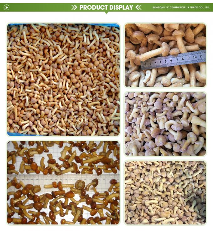 Jamur organik yang dibudidayakan liar sehat alami Bergizi segar utuh Beku Jamur IQF Beku Nameko 1