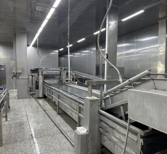 IQF Empat Sayuran Buah Kacang Hijau&Kernel Jagung Manis&Aci&Buah Kacang Hijau 9