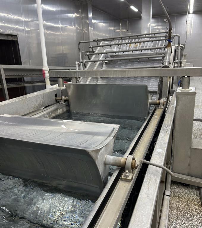 IQF Empat Sayuran Buah Kacang Hijau&Kernel Jagung Manis&Aci&Buah Kacang Hijau 12