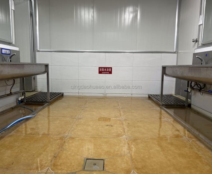 IQF Empat Sayuran Buah Kacang Hijau&Kernel Jagung Manis&Aci&Buah Kacang Hijau 14