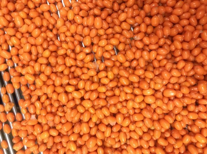 Asal Cina IQF Beku Segar Liar Sea Buckthorn Kelas Satu Sea-buckthorn Lingonberry Raspberry, Blueberry Campuran Beri 2