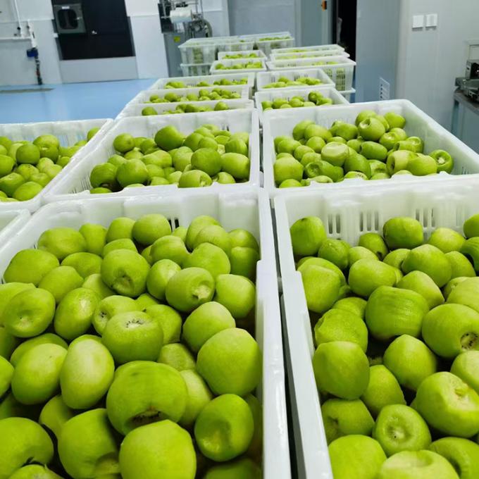 Buah Kiwi Buah beku Buah beku Bola Kiwi Kualitas Alami 3