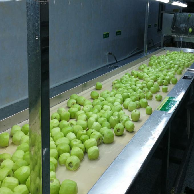 Buah Kiwi Buah beku Buah beku Bola Kiwi Kualitas Alami 5