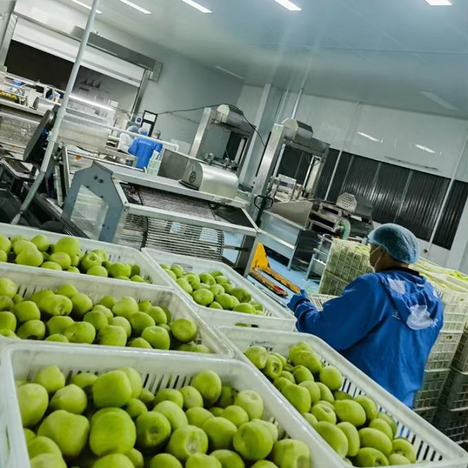 Buah Kiwi Buah beku Buah beku Bola Kiwi Kualitas Alami 4