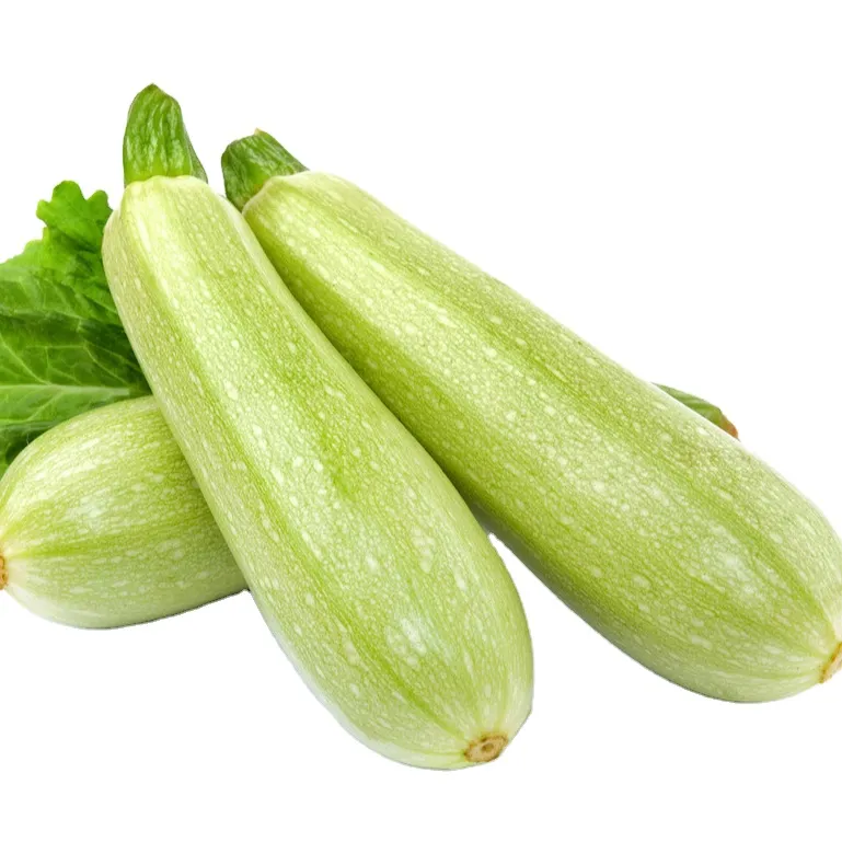 Frozen Vegetable for Your Food Business Perfect for Your Food Service Needs zucchini 2