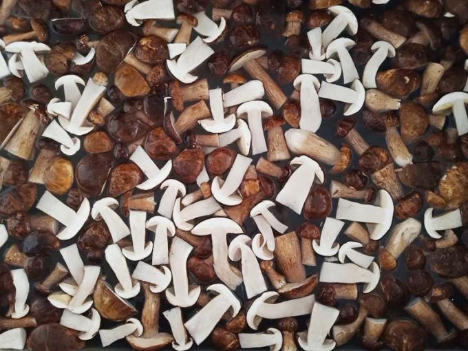 Jamur beku IQF BOLETUS EDULIS Kelas A 24 Bulan Jangka waktu ISO HACCP BRC KOSHER HALAL Sertifikasi 10 ton MOQ 0