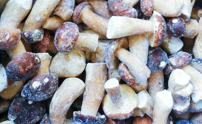 Jamur beku IQF BOLETUS EDULIS Kelas A 24 Bulan Jangka waktu ISO HACCP BRC KOSHER HALAL Sertifikasi 10 ton MOQ 2