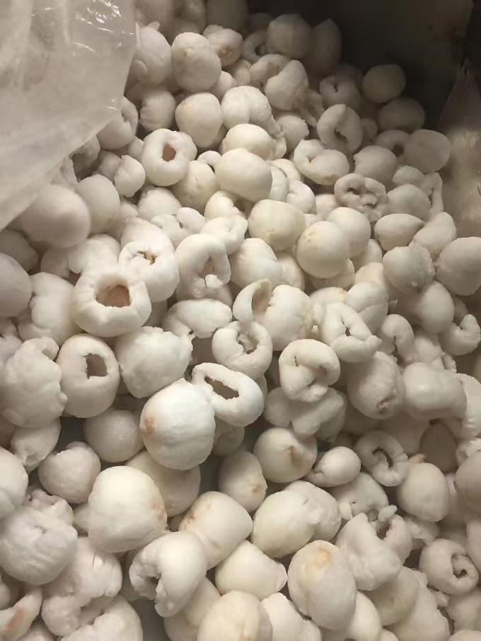 Buah-buahan Lichee Buah-buahan Lichee Buah-buahan Buah-buahan Buah-buahan Buah-buahan Buah-buahan Buah-buahan Buah-buahan 3