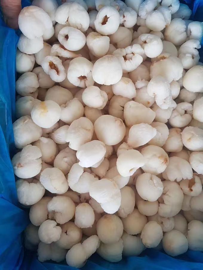 Buah-buahan Lichee Buah-buahan Lichee Buah-buahan Buah-buahan Buah-buahan Buah-buahan Buah-buahan Buah-buahan Buah-buahan 4