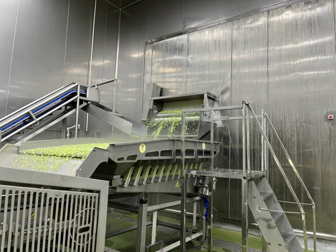 Raspberi Beku Segar Berkualitas Tinggi Dipetik Langsung untuk Rasa Manis untuk Jus, Makanan Penutup, Milkshake 10