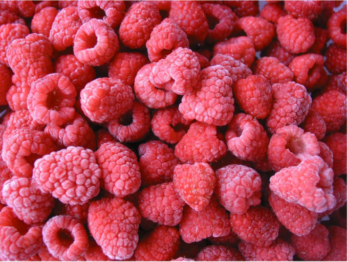 Harga Pabrik Crumble Raspberry Beku IQF Grosir Kontrol Kualitas Ketat Rasa Enak 3