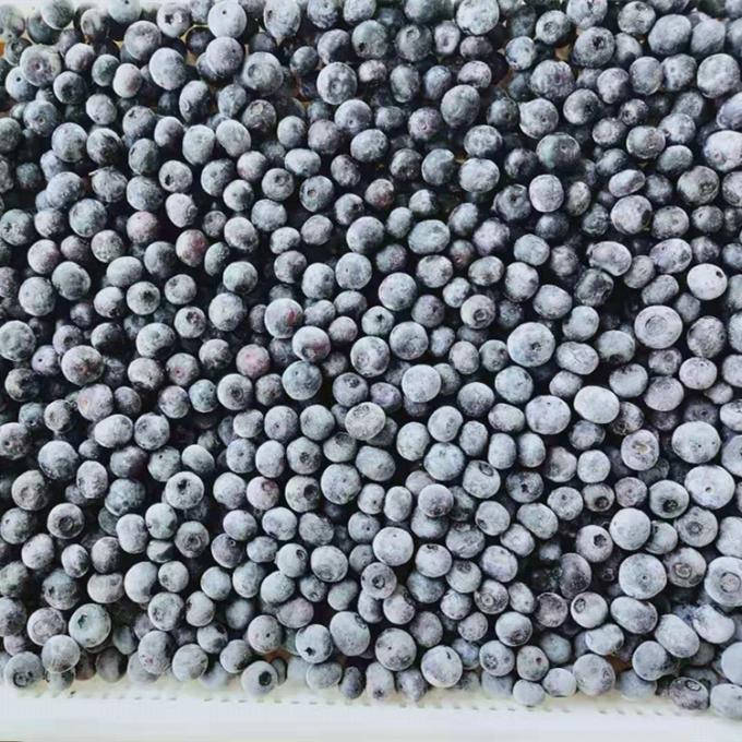 Grosir Cina Iqf Buah Berry beku IQF Buah blueberry beku untuk ekspor dengan harga yang baik Blue Berry 0